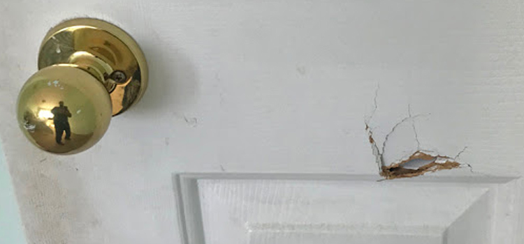 interior door hole repair Bret Harte